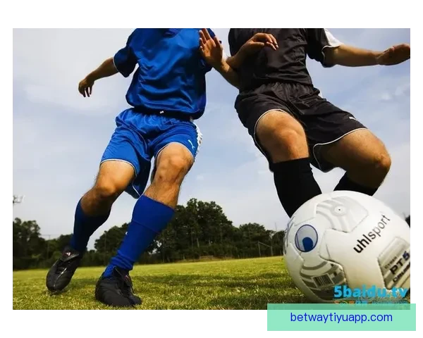 世界杯竞猜投注技巧全解析让你提高胜率掌握制胜秘诀